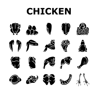 鸡动物农场生肉食品图标设置向量