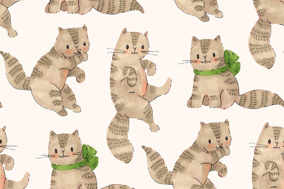 小猫