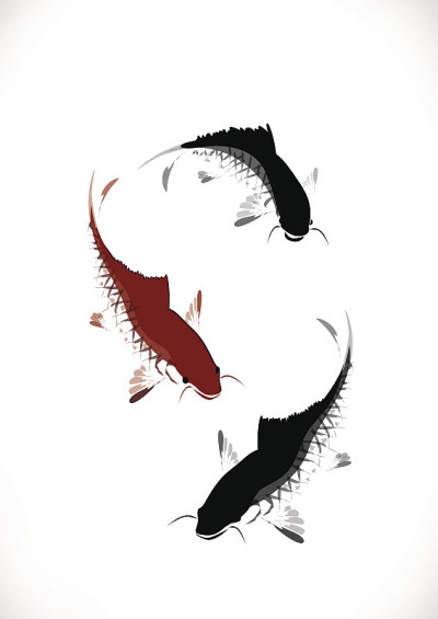 向量黑红鲤鱼游泳