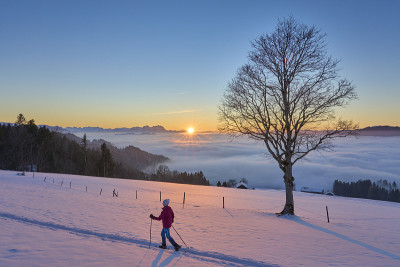 在奥地利布雷根茨瓦尔德，日落时穿着雪鞋的女人