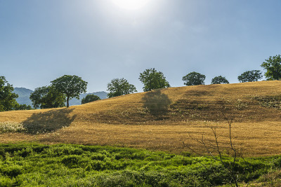 巴西利卡塔Val D'Agri的夏季乡村景观