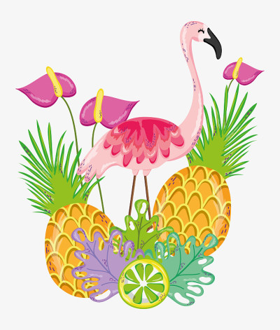 你好,夏天卡