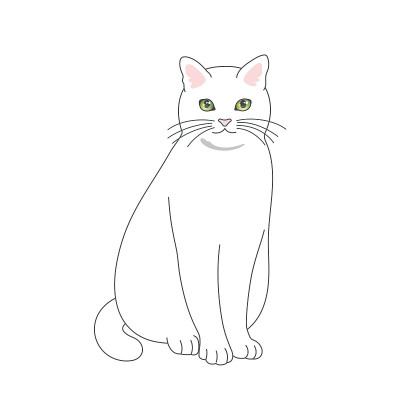 一只白猫的插图