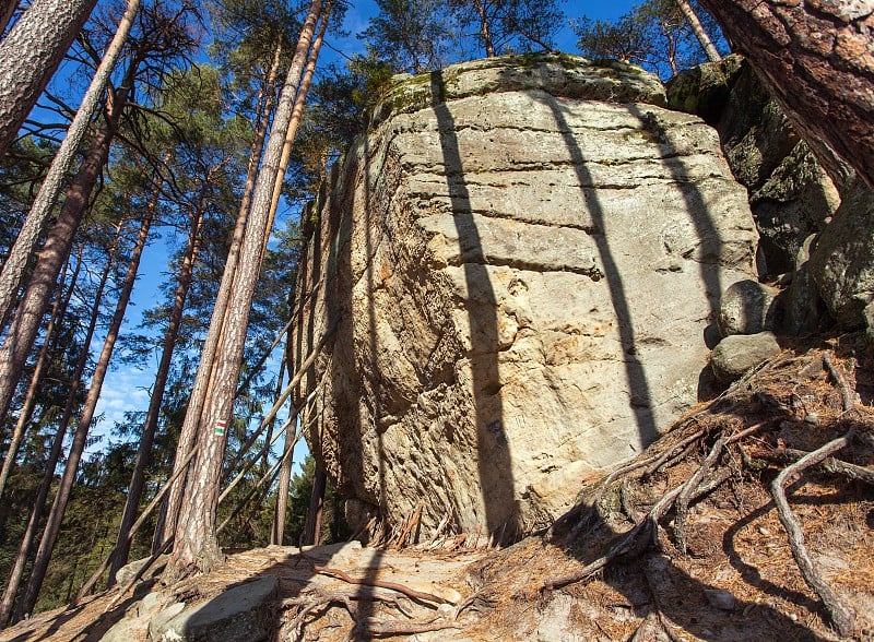 落基山脉或托洛夫科维落基山脉砂岩