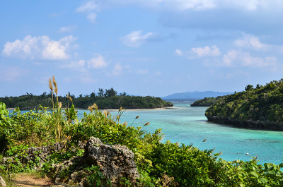热带海湾视图