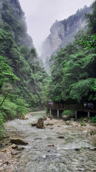 大峡谷玻璃桥徒步旅行，武陵源-张家界，中国
