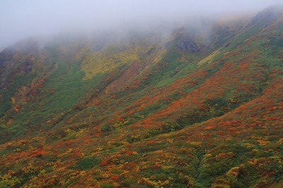 栗山的秋叶