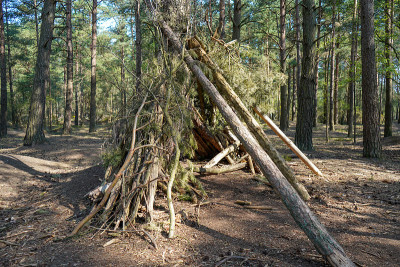 在森林中建造的旧树枝小屋