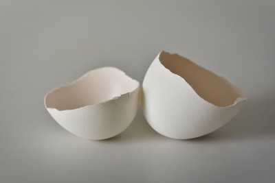 鸡蛋壳