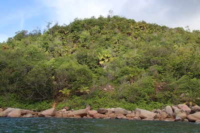 红色花岗岩岩石靠近海滩安塞拉齐奥，Praslin岛，塞舌尔，印度洋，非洲