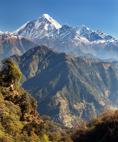 从Jaljala pass的Dhaulagiri Himal全景视图