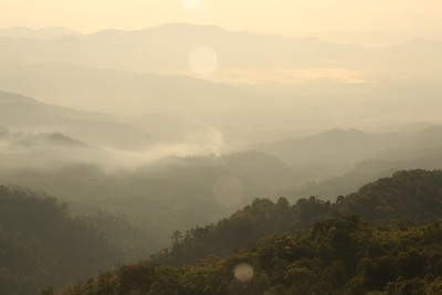 景观