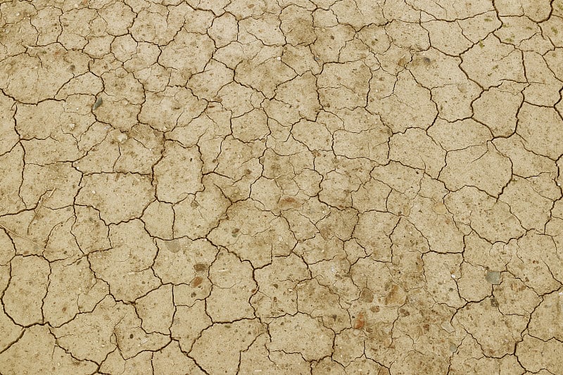 干裂的泥土呈黄色。没有水的沙漠。干旱的土地。在死气沉沉的空间里渴求水分。世界生态状况。节约用水，节约