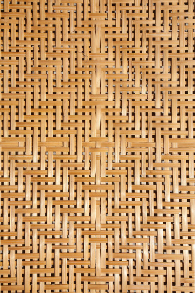 编织竹