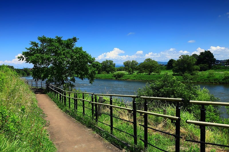 夏天河景观