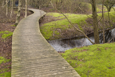 池塘上Amrum