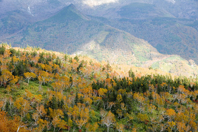 日本北海道秋知床关