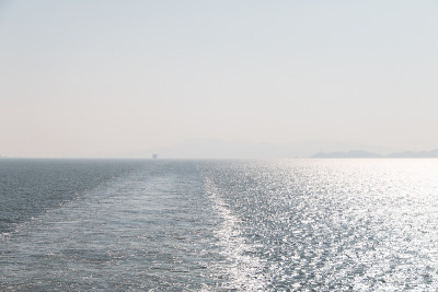 海鸟在海上飞行