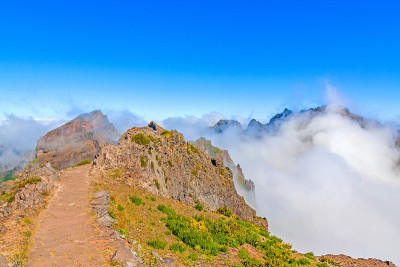火山景观-马德拉徒步旅行