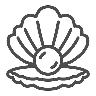 贝壳与珍珠线图标，航海概念，海贝标志在白色背景，珍珠在开放海贝图标在轮廓风格的移动概念和网页设计。矢