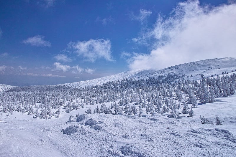 雪霜领域