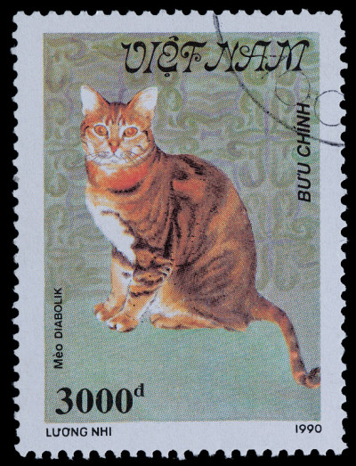邮票上的猫