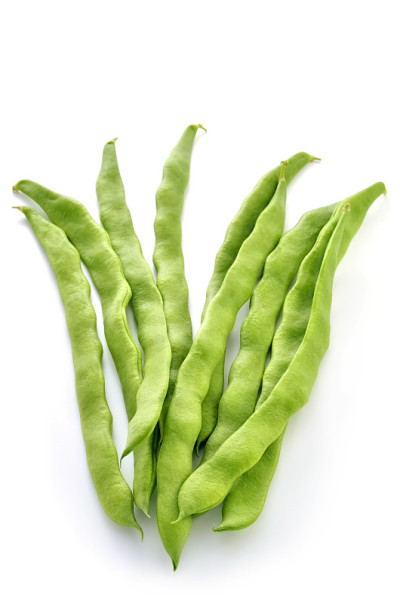 红花菜豆