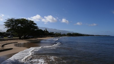 在毛伊岛的海滩上