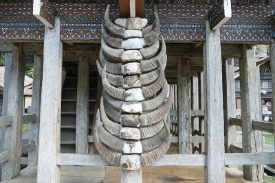 Tongkonan房屋，传统的Torajan建筑和房屋