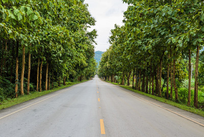 农村道路