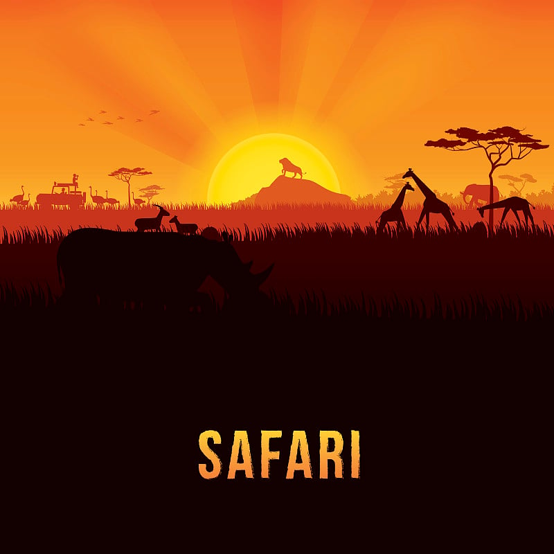 Safari