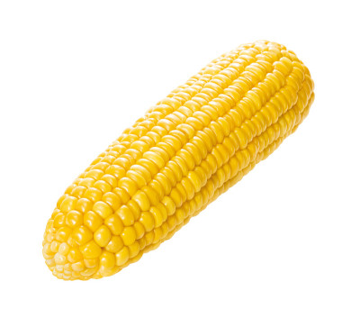 玉米