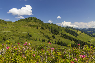 奥地利佛拉尔堡达默尔斯附近典型的初夏高山景观