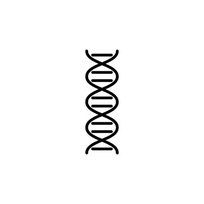插图矢量图形的DNA图标模板