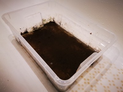 肮脏的水容器