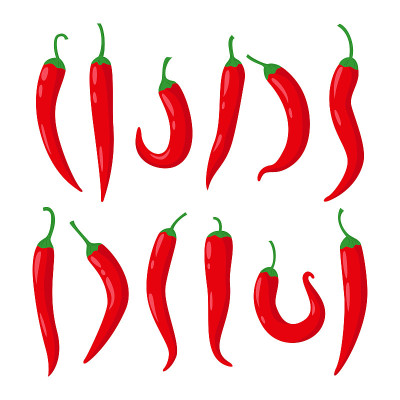 Vegetable icon set of chili pepper.