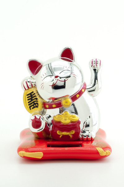 猫与太阳能电池板在白色背景