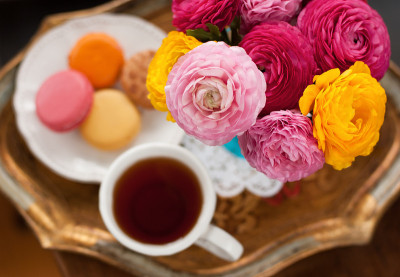 茶杯用鲜花