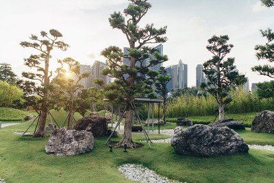 自然景观与绿草草坪，小山丘在城市公园。