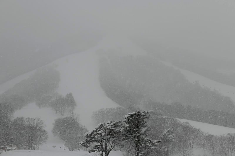 日本马达郎的雪山