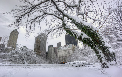 中央公园在冬天的暴风雪后
