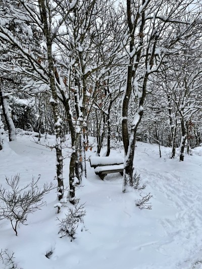 白雪覆盖的长椅上