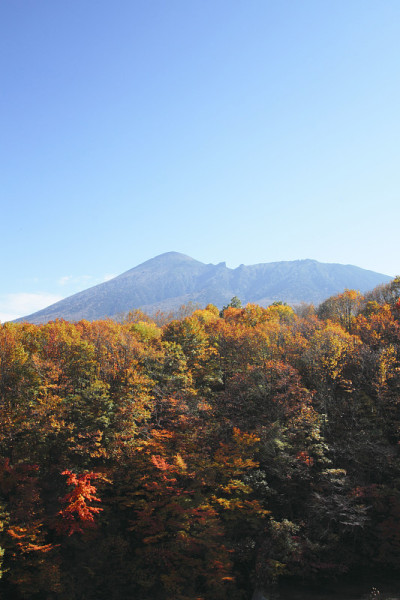 五颜六色的叶子和岩手山