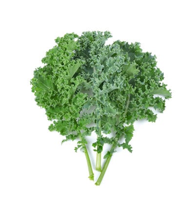 羽衣甘蓝叶沙拉蔬菜孤立在白色背景