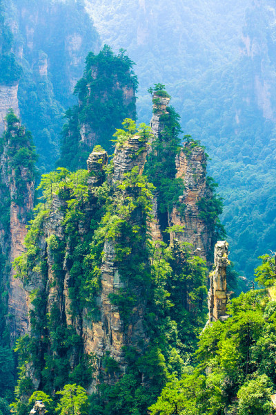 中国湖南武陵源的张家界悬崖山