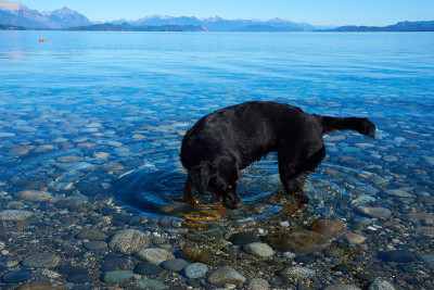 LAGO NAHUEL HUAPI, 巴里洛切, 里约内格罗, 阿根廷