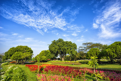 花园在Suan Luang Rama 9公共公园