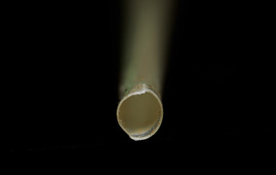 由龙舌兰纤维制成