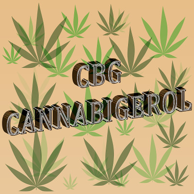CBG 卡纳比格罗尔