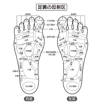 单色插图的反射区和穴位在脚底